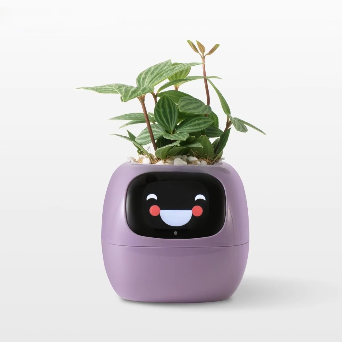 YY WLAN-AI-Pflanzgefäß mit Bew – Home Decor Ai Free Bewertung und Preis