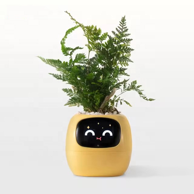 YY WLAN-AI-Pflanzgefäß mit Bew – Home Decor Ai Free Bewertung und Preis